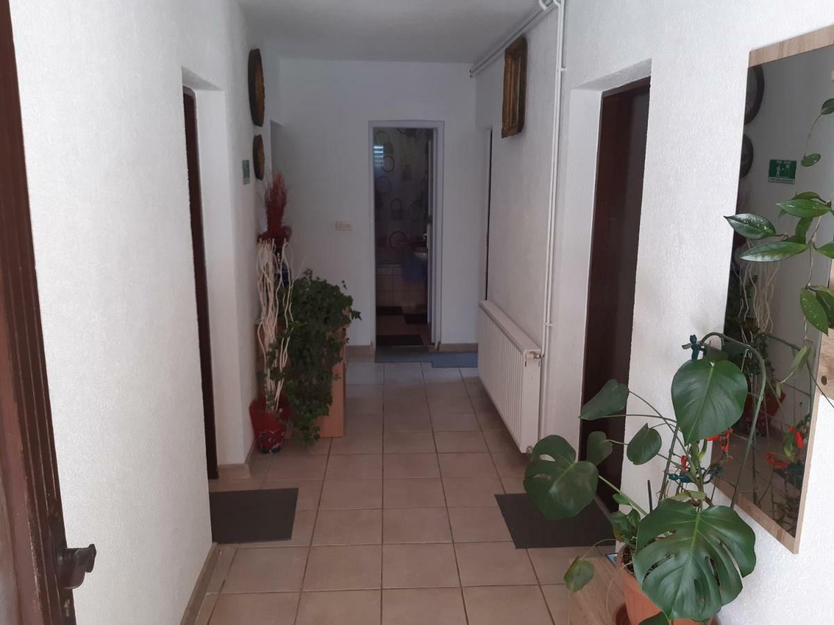Rooms Luka Seliste Dreznicko Bagian luar foto